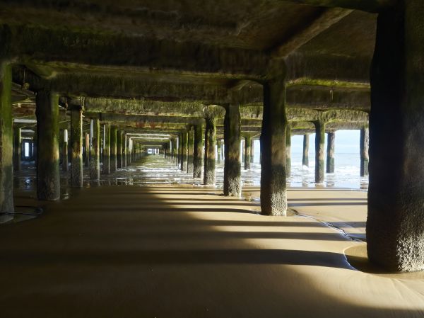 Cost of Pier And Beam Leveling in Palm Harbor