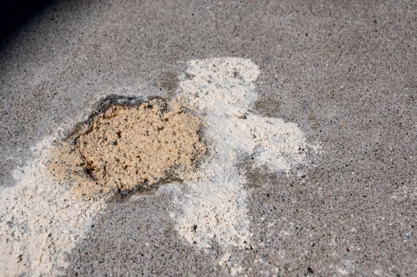 Cost of Foundation Leveling Service in Palm Harbor
